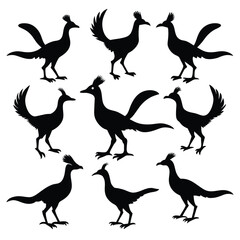 Set of roadrunner animal Silhouette Vector on a white background