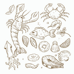 seafood hand drawn vector