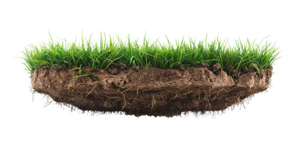 A patch of grass with intertwining dirt and grass blades growing upwards on isolate transparent background