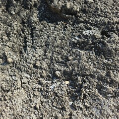 stone wall texture