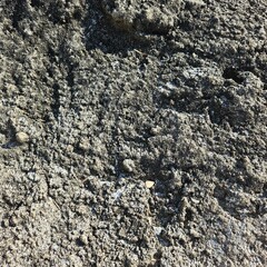 stone wall texture