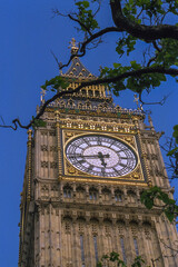 Timeless Elegance: The grandeur of Big Ben peeking through the whispers of nature.