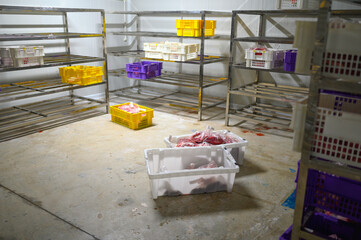 few crates with beef inside a large storage cold  room ready to be processed