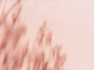 Minimal abstract silhouette shadow pink background of natural leaves of a tree branch falling on...