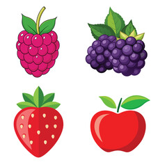 collection of berries