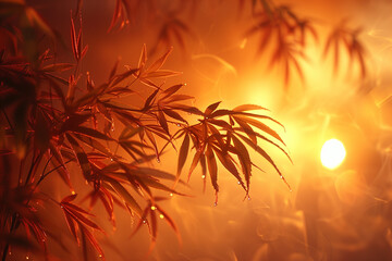A close up of a leafy plant with a sun in the background. The sun is shining brightly on the leaves, creating a warm and inviting atmosphere. Concept of peace and tranquility