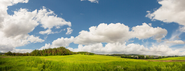 panorama of green summer meadow with blue sky
