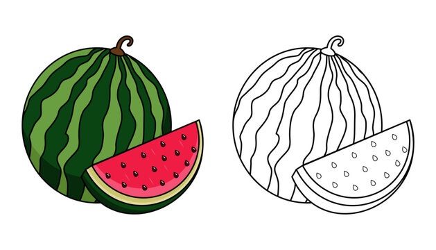 Vector illustration of watermelon with lines and colors, for children's coloring books