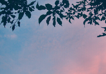 Soft blue sky during evening as natural backdrop background