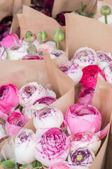 Bouquet of pink ranunculus in craft paper. Flower market.