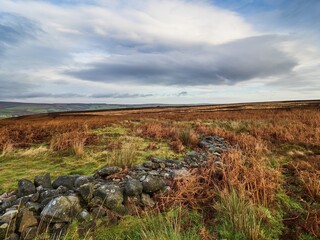 A reconstructed Bronze Age hut circle on Ilkley moor in Yorkshire. The circle in in the heather with superb views. It is a beautiful day.