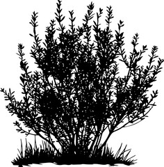 silhouette bush with leaves and shadow on white background. AI generated illustration.