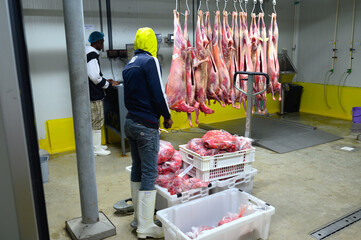 A Nigerian butcher in the cold room scanning through chunks of meat in the slaughter room