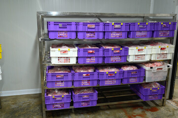 Meat in color boxes. Food production factory or butcher's.Meat Storage at -30 Celcius