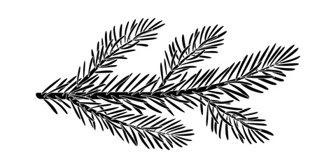 Christmas spruce branch silhouette. Larch, Pine, spruce branch, evergreen tree, fir, vector icon, winter plants, New Year wood, holiday decoration. Hand drawn black and white illustration.