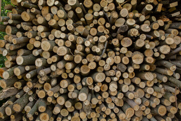 Dark wooden texture. Wood brown texture. Background old panels. Retro wooden table. Rustic background. Vintage colored surface.