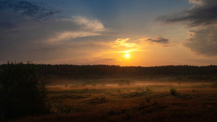 Summer sunrise or sunset on the field or forest. Summer landscape.
