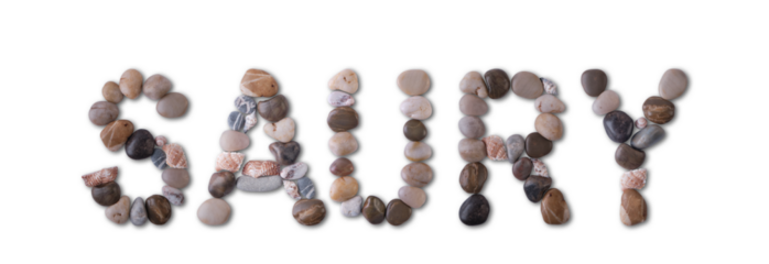 The word "SAURY" is lined with shells and stones of different shapes and colors on a transparent background. Types of fish and seafood, price tag, sea food, fish market, sea alphabet.