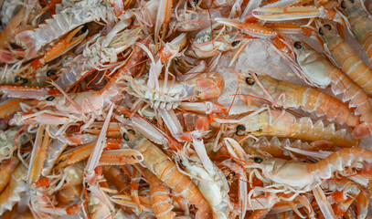 Background of fresh shrimps ready to cook