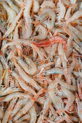 Background of fresh shrimps ready to cook