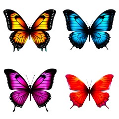 butterfly collection, isolated