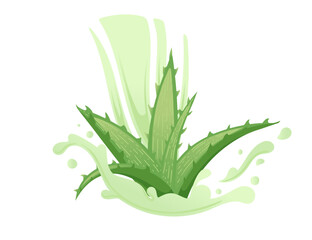 Aloe vera plant with flowing green aloe juice vector illustration isolated on white background