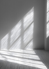 Obraz premium Shadow Overlay