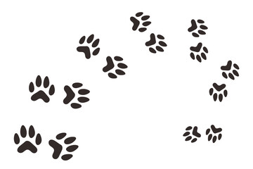 Black paw footprint vector illustration isolated on white background