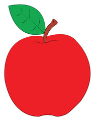 A apple isolated on white background