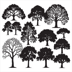 Obraz premium Set of plant and tree silhouette