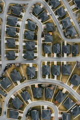 Aerial view of a suburban neighborhood with a minimalist layout, highlighting the repetitive patterns of houses and streets. Use a muted color palette to enhance the simplicity