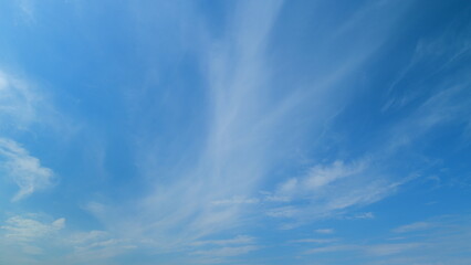 Tropical summer sunlight. Blue sky with cirrus clouds. Fluffy layered clouds sky atmosphere....