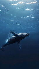 Fototapeta premium Majestic Whale Gliding Through the Serene Depths of the Vast Ocean