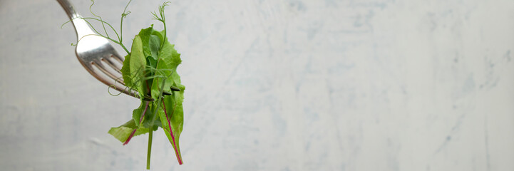 Banner of the fork with green salad, young beet leaves and pea shoots on light textured background...