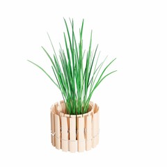 3D rendering of a plant against a white backdrop.