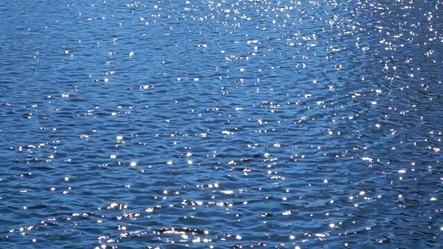 Sun glare plays on ripples of water surface of a dark blue lake on a sunny day, nature background