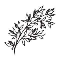 Branch hand drawn vector illustration