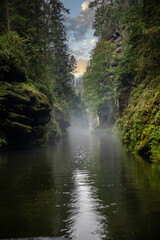 Pure nature, landscape shot in a gorge with a river. European forest in Hřensko, Kamnitzklamm,...
