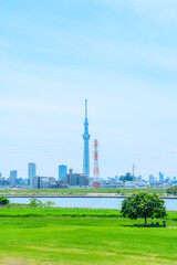 Obraz premium 初夏に広がる青空・河川敷