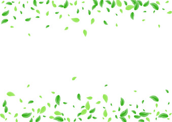 Light Green Foliage Background White Vector. Leaves Flavor Card. Cosmetic Illustration. Greenish Growing Texture. Greenery Environmental.