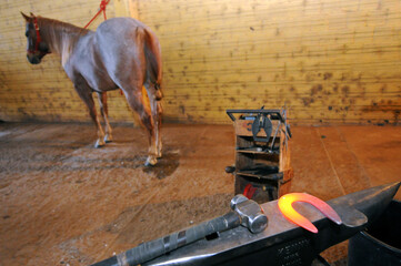 Shaping a horseshoe with a Quarter Horse in the background. Horseshoe heating