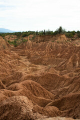 Cause in desert you can see how beautiful time can change us 