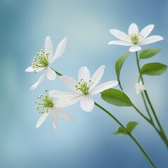 Fototapeta premium Stems of green plants with white flowers close-up on a blue background
