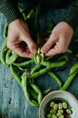 man taking broad beans out of its pod