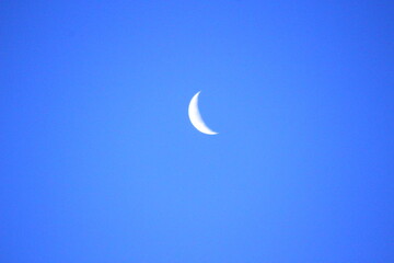 三日月　Crescent