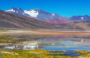 Northern Argentina