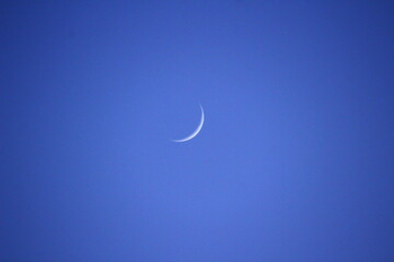 三日月　Crescent