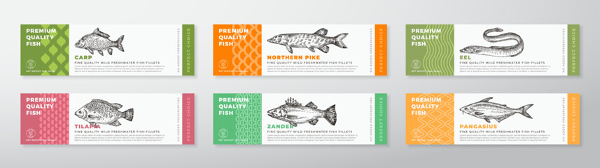 Fish Seafood Vector Packaging Label Design Collection Modern Typography and Hand Drawn Tilapia, Eel, Pike and Pangasius Product Background Layouts Set