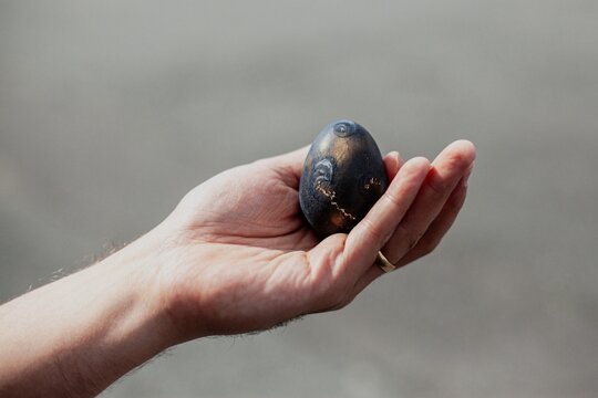 Black Eggs of Owakudani, Hakone
