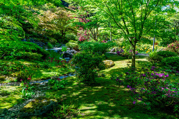 Seattle Japanese Garden 5